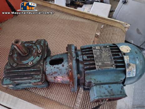 Motoredutor Cestari com motor de 0,75 CV trif�sico WEG