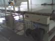 Modeladora rotativa para alimentos e transportador linear Liteq