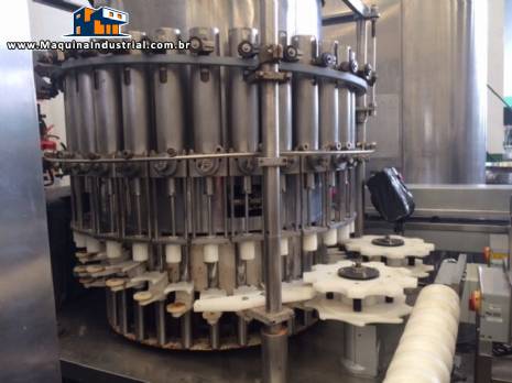 Envasadora rotativa 30 pist�es Krones