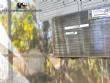 Tanque reservat�rio vertical em a�o inox AISI 304 60.000 litros Theodosio Randon