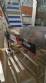 Alimentador posicionador abastecedor vibrat�rio em a�o inox de tampas TecnoEnvase TAG 5000