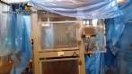 Embaladora envasadora vertical automtica Systempack