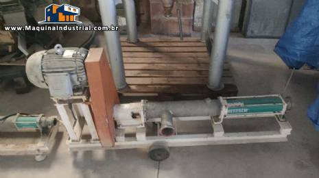 Bomba positiva helicoidal Nemo Netzsch 4 CV Bomba positiva helicoidal Nemo Netzsch 4 CV