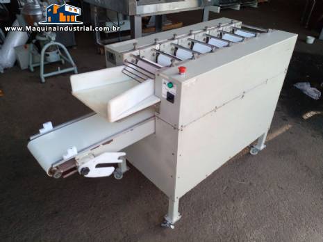 Cilindro 7 rolos Braslaer 200 mm Cilindro 7 rolos Braslaer 200 mm