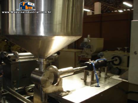 Dosadora de pastosos automatica Dosadora de pastosos automatica