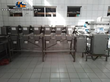 Selecionadora e pesadora para cortes de carne Lenke Selecionadora e pesadora para cortes de carne Lenke